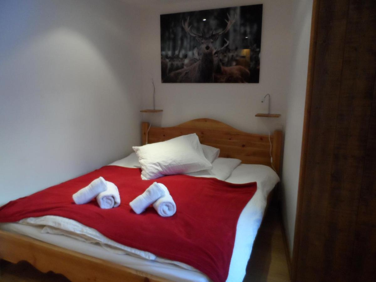 Prachtig Familie Appartement Voor 6 Personen In Het Hart Van Argentiere, Chamonix Mont-Blanc Экстерьер фото